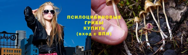 дмт Касимов