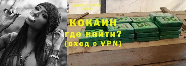 дмт Касимов