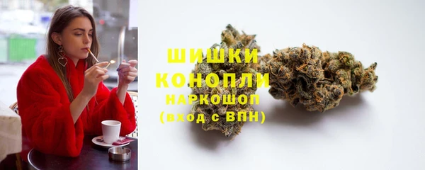 дмт Касимов