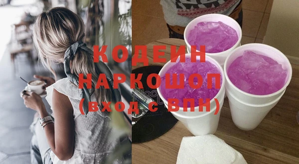 СК Кинешма