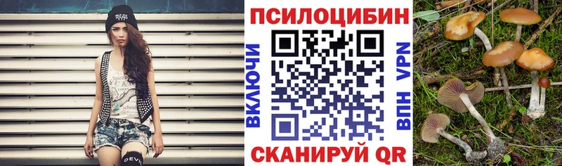 Купить закладки  Дрезна  Галлюциногенные грибы Psilocybine cubensis 